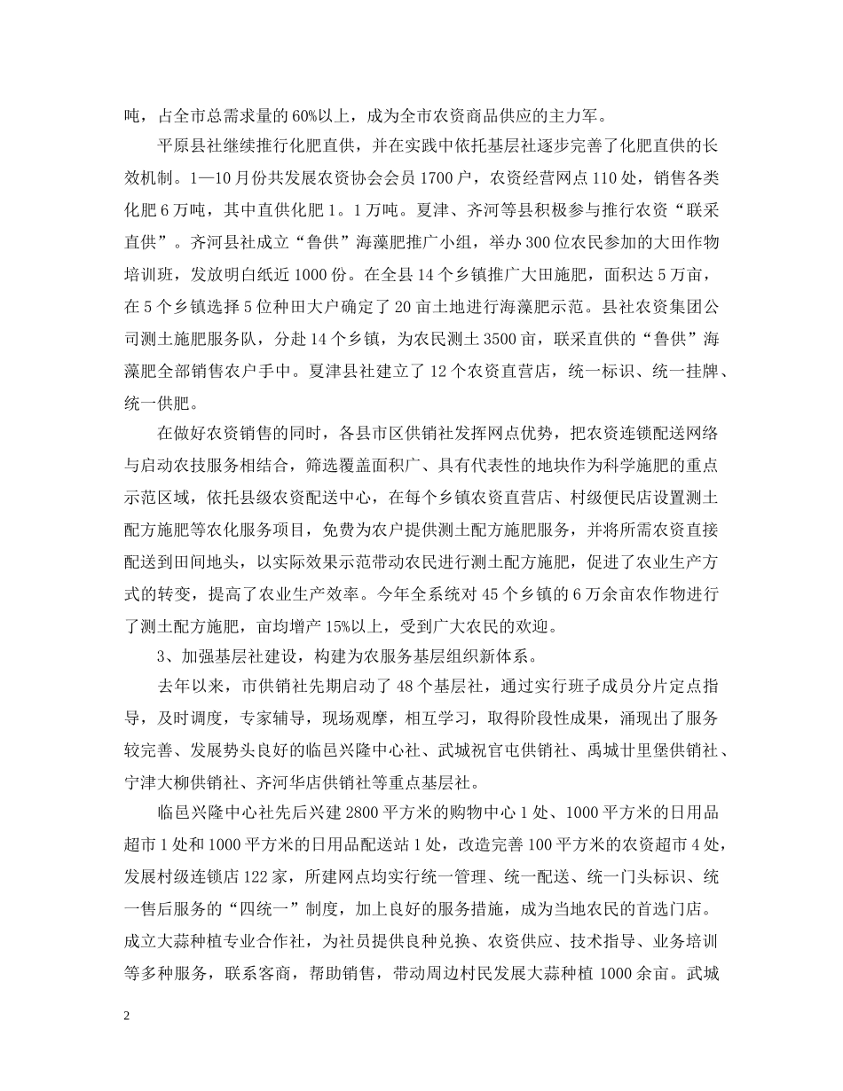 基层供销社的年终总结 _第2页