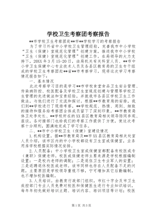 学校卫生考察团考察报告