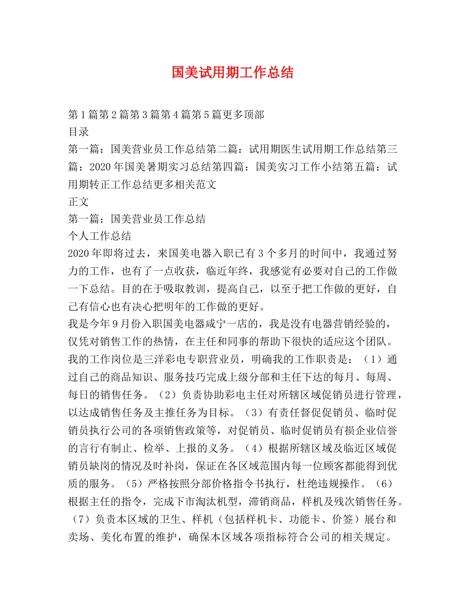 国美试用期工作总结 _第1页