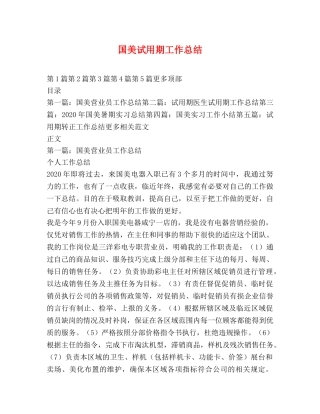 国美试用期工作总结 