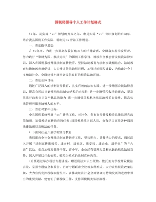 国税局领导个人工作计划格式 