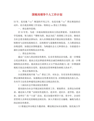 国税局领导个人工作计划 