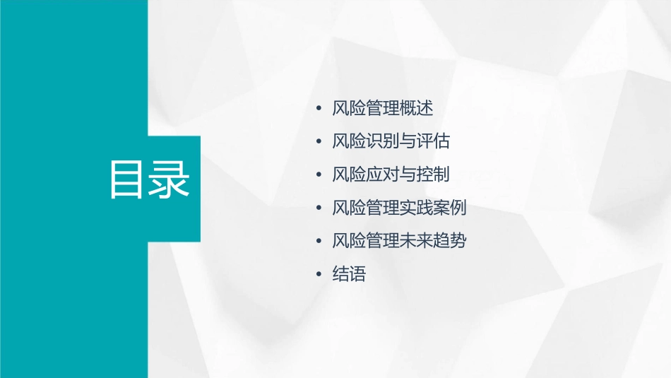 德勤风险管理课件_第2页