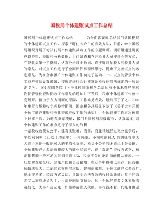 国税局个体建账试点工作总结 