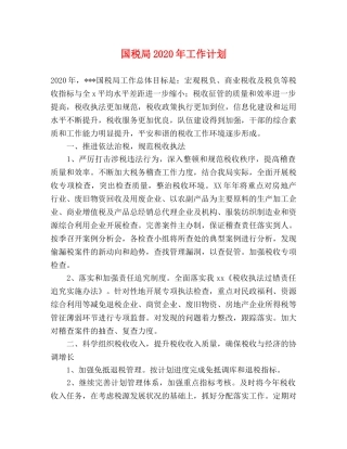 国税局2020年工作计划 