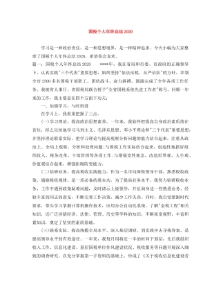 国税个人年终总结2020 