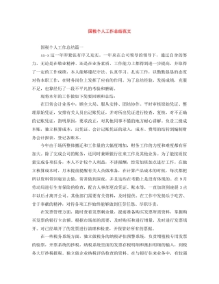 国税个人工作总结范文 
