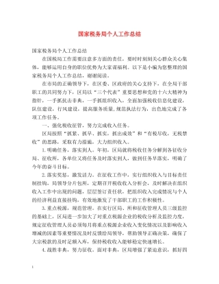 国家税务局个人工作总结2 
