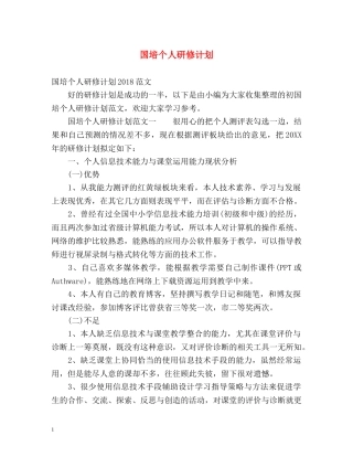 国培个人研修计划 