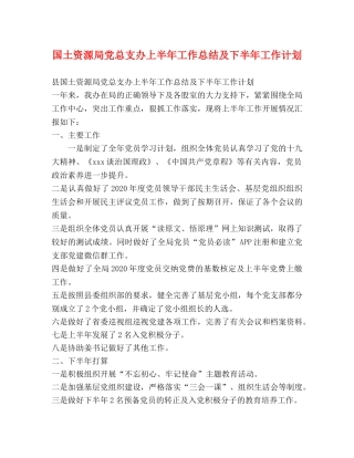 国土资源局党总支办上半年工作总结及下半年工作计划 