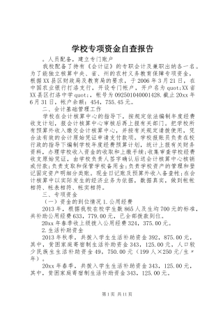 学校专项资金自查报告