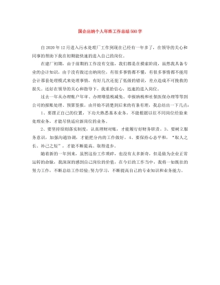 国企出纳个人年终工作总结500字 