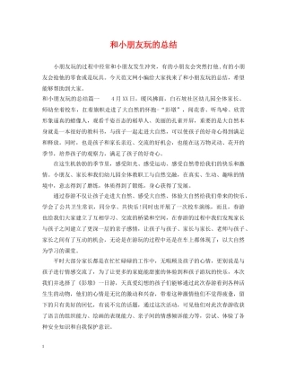 和小朋友玩的总结 