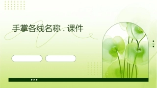 手掌各线名称.课件