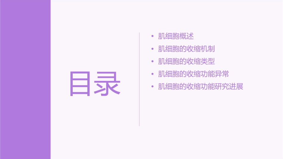 肌细胞的收缩功能资料课件_第2页