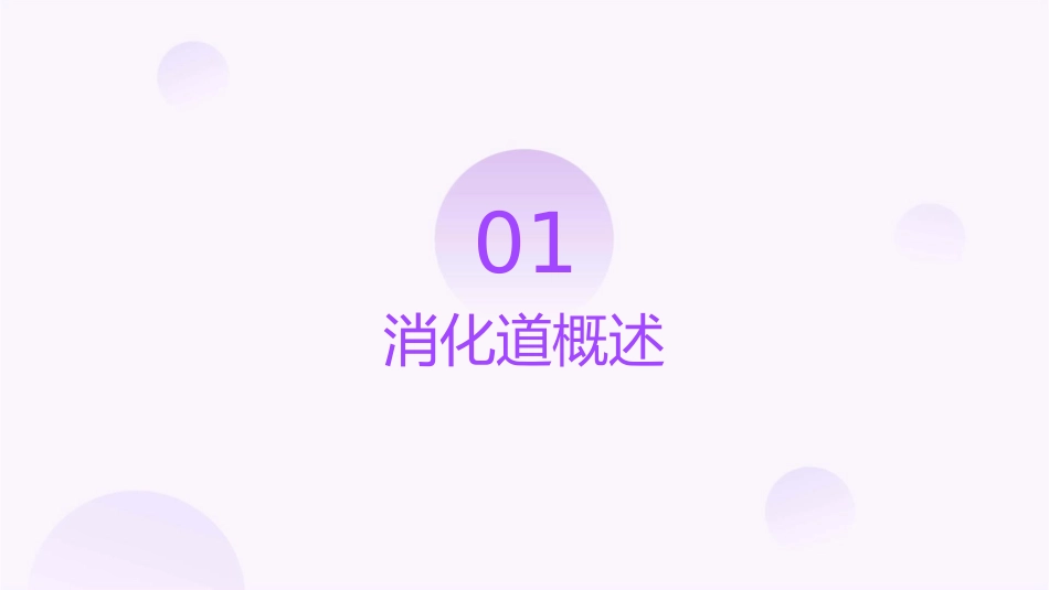 消化道的影像学诊课件_第3页