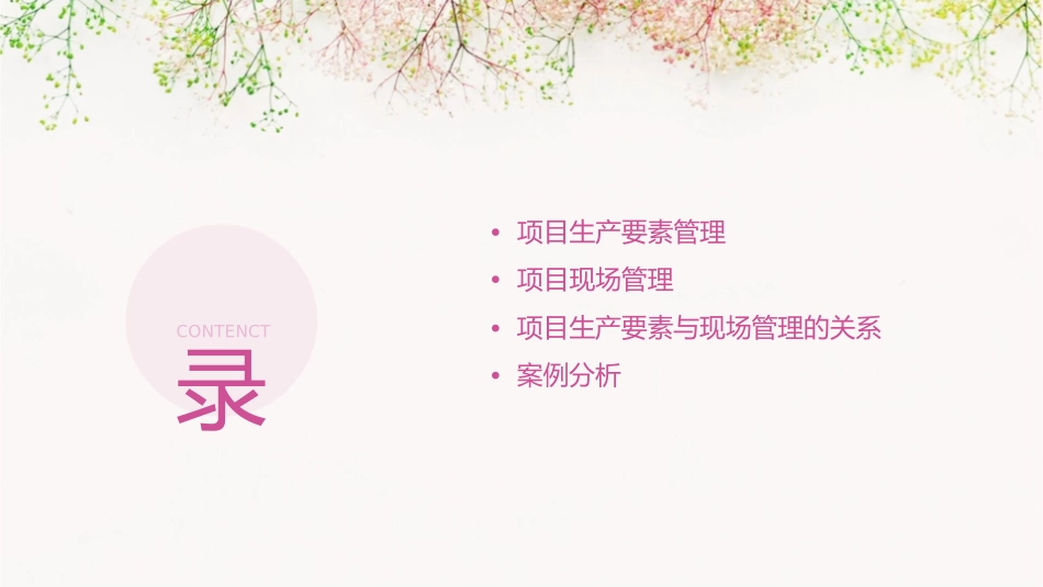 项目生产要素管理和项目现场管理课件_第2页