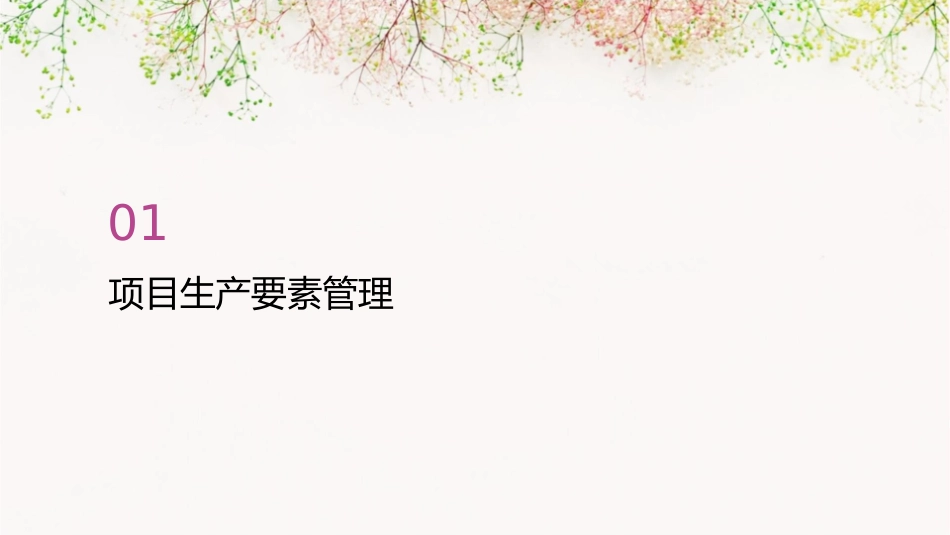 项目生产要素管理和项目现场管理课件_第3页