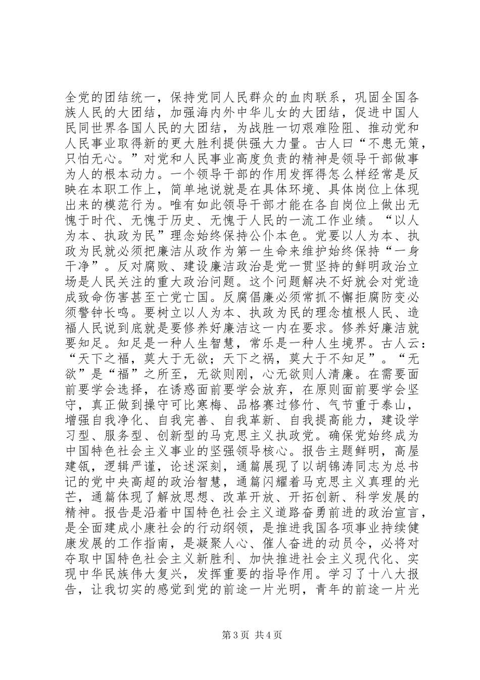 学习十八大报告精神共创光明美好前程_第3页