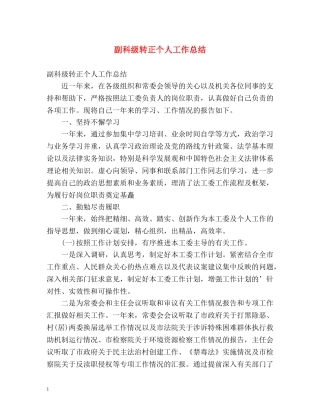 副科级转正个人工作总结 