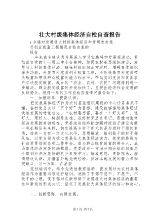 壮大村级集体经济自检自查报告