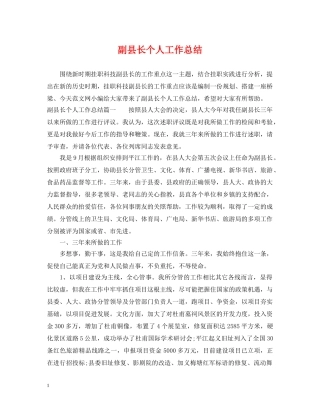 副县长个人工作总结 