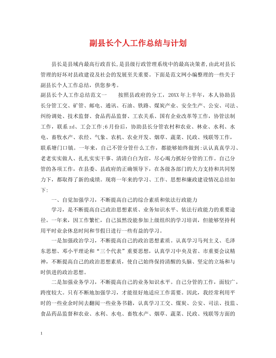 副县长个人工作总结与计划 _第1页