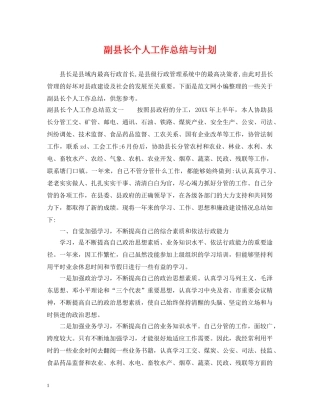 副县长个人工作总结与计划 