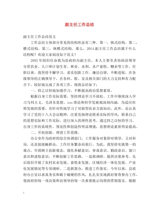 副主任工作总结 