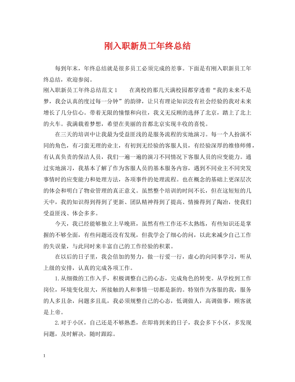 刚入职新员工年终总结 _第1页