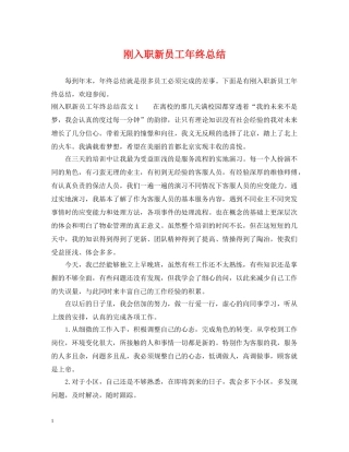 刚入职新员工年终总结 
