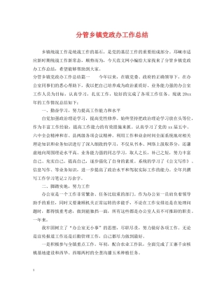 分管乡镇党政办工作总结 