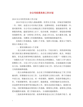 分公司经营具体工作计划 