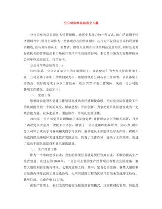 分公司年终总结范文3篇 