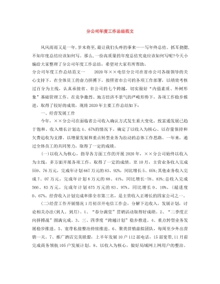 分公司年度工作总结范文 