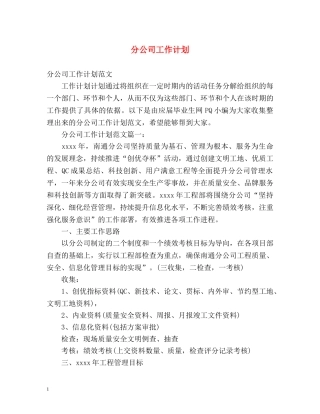 分公司工作计划 