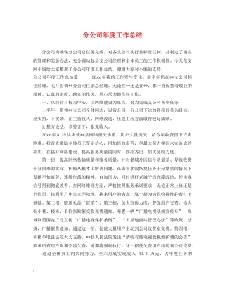 分公司年度工作总结 