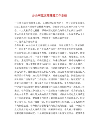 分公司党支部党建工作总结 