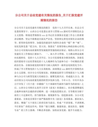 分公司关于总结党建有关情况的报告_关于汇报党建开展情况的报告 