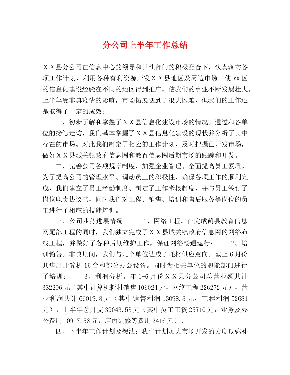 分公司上半年工作总结 _第1页