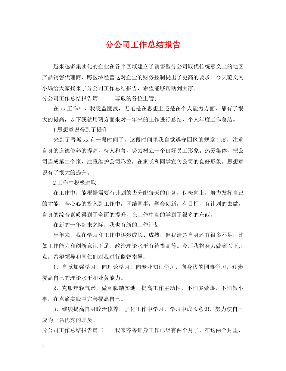 分公司工作总结报告 _第1页