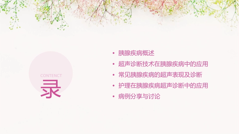 常见胰腺疾病超声诊断护理课件_第2页