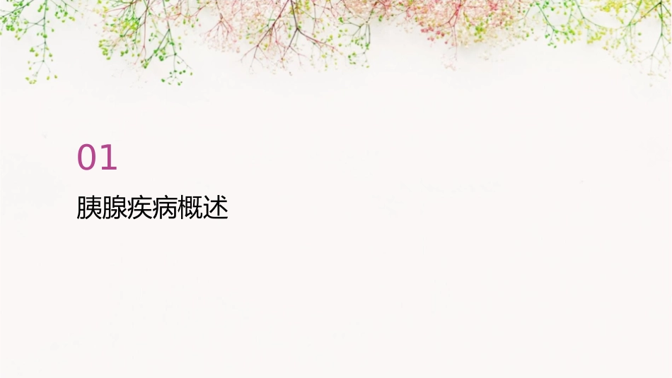 常见胰腺疾病超声诊断护理课件_第3页