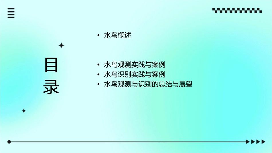 水鸟的观测与识别课件_第2页