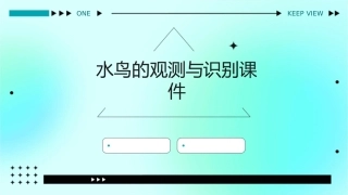 水鸟的观测与识别课件