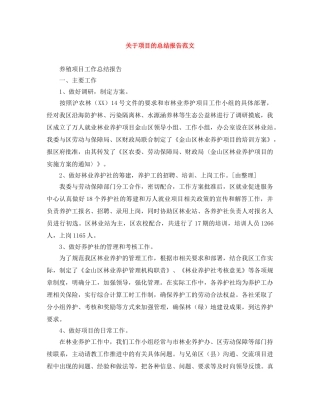 关于项目的总结报告范文 