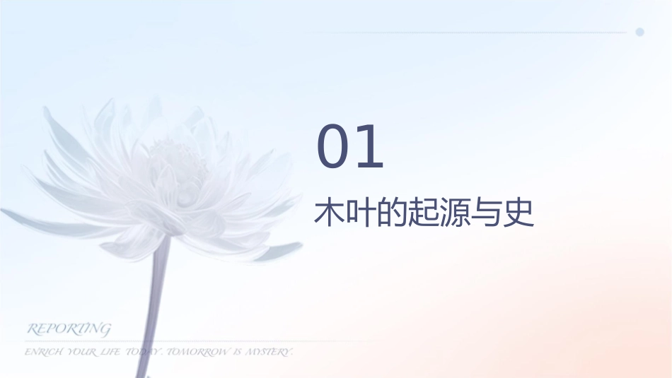说木叶——优秀实用修订版课件_第3页