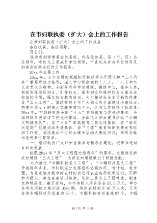 在市妇联执委（扩大）会上的工作报告