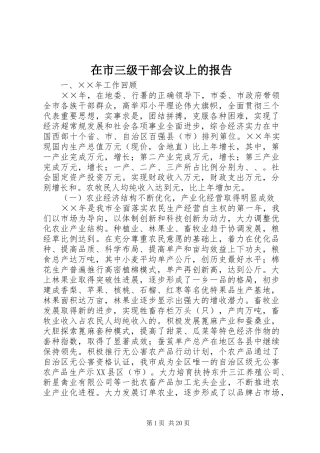 在市三级干部会议上的报告