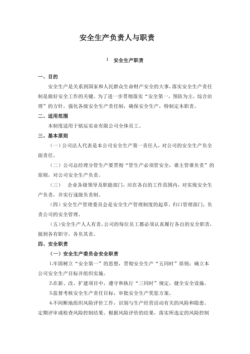 安全生产负责人与职责_第1页